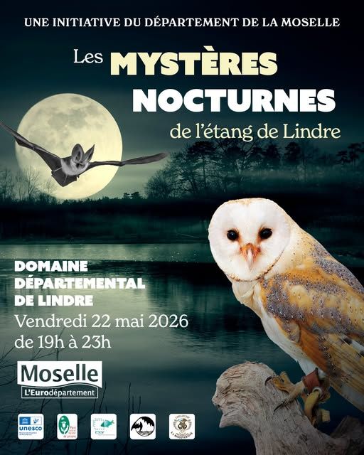 Les mystères nocturnes de l'Etang de Lindre 20260522.jpg