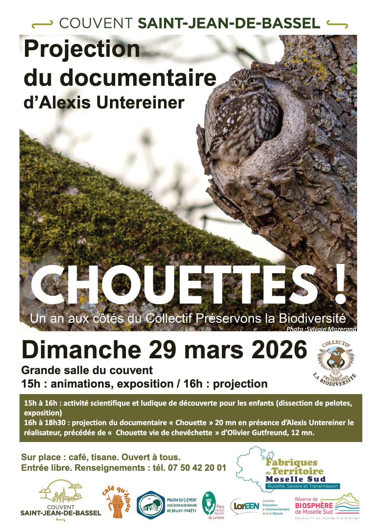 affiche-projectionn.jpg