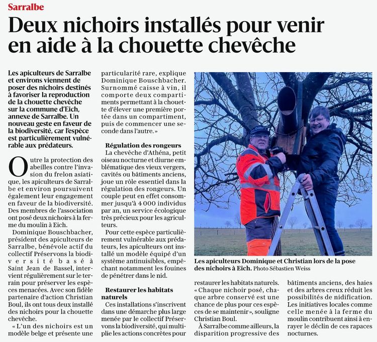 Mise en place de nids à Sarralbe